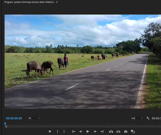 ajustar configurações do warp stabilizer